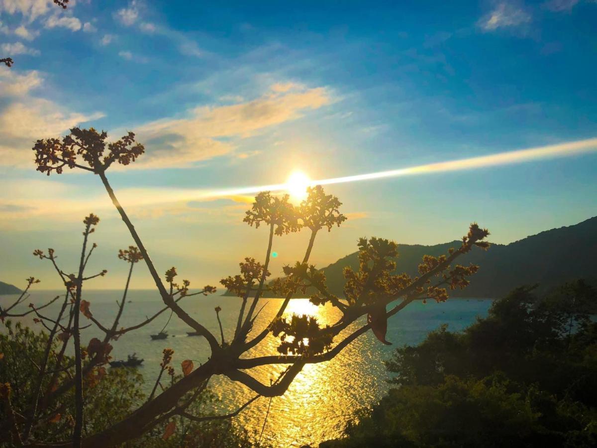 Homestay Van Duc Cu Lao Cham Tân Hiệ Exteriör bild